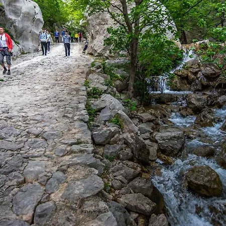 公寓 In Starigrad-paklenica 43218